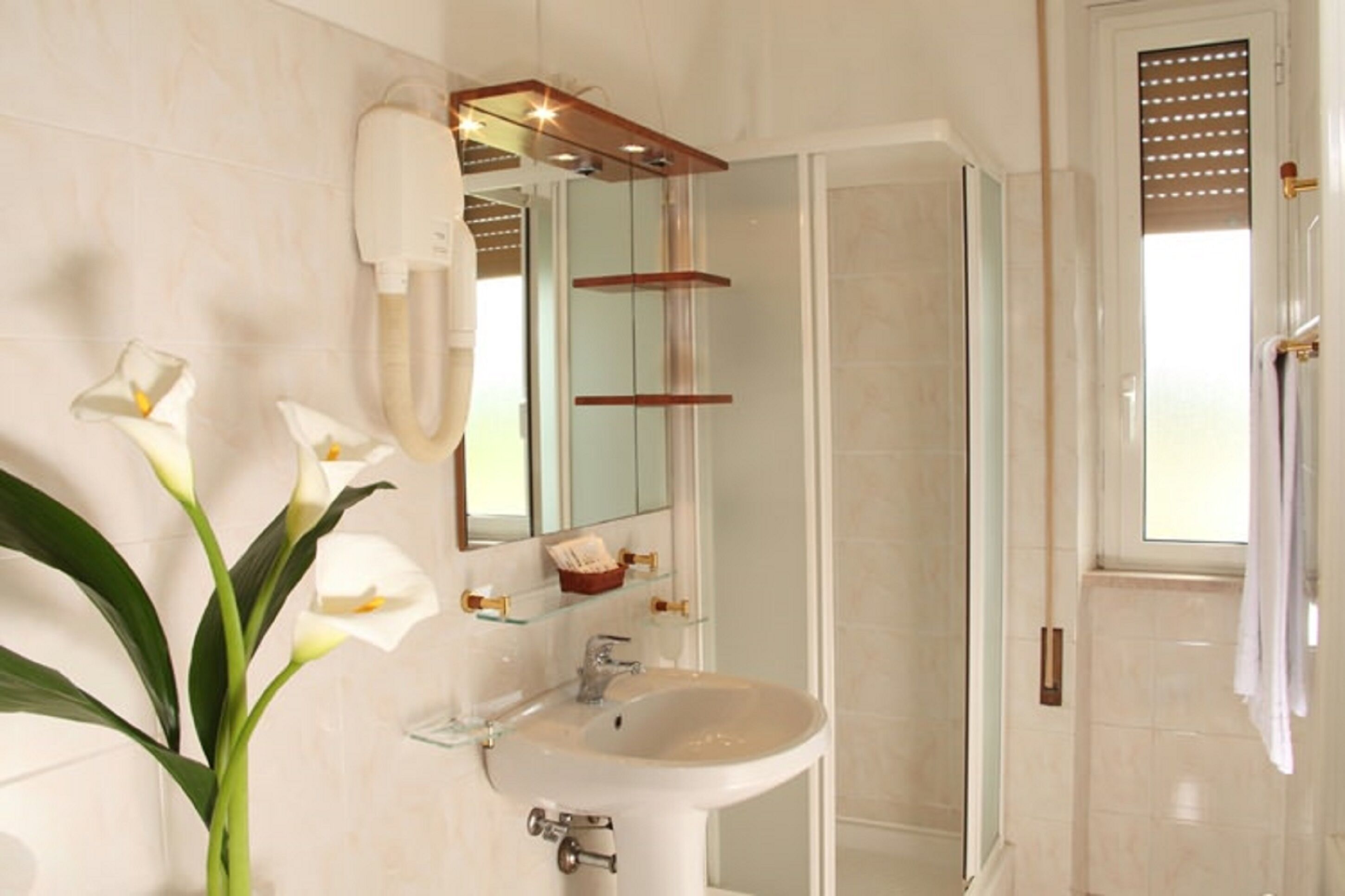 ฝักบัว, ไดร์เป่าผม, โถสุขภัณฑ์แบบบิเดท์, ผ้าเช็ดตัว