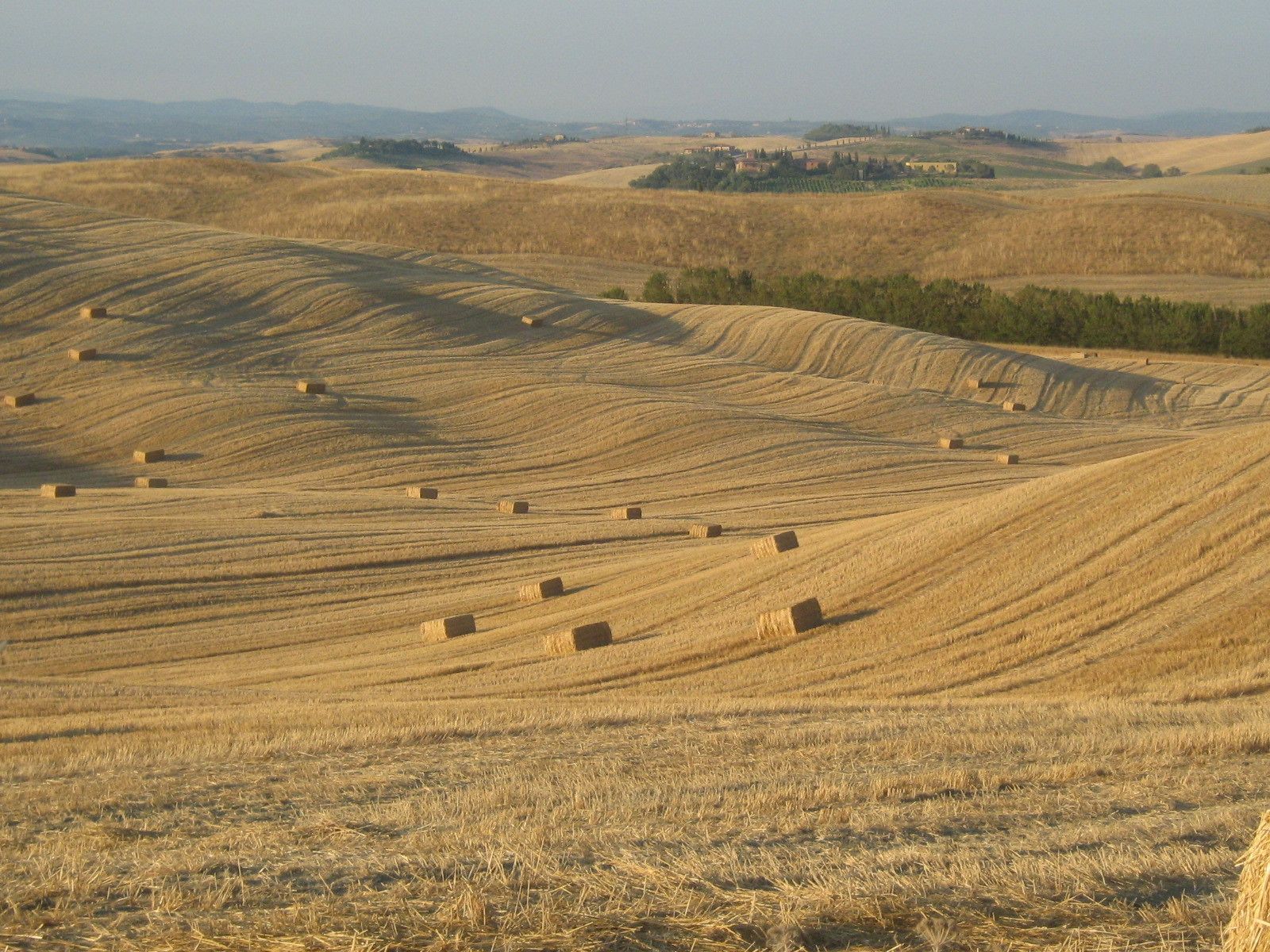 A vast, undulating landscape with hay bales scattered across the fields, suggesting agricultural activity.