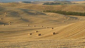 A vast, undulating landscape with hay bales scattered across the fields, suggesting agricultural activity.
