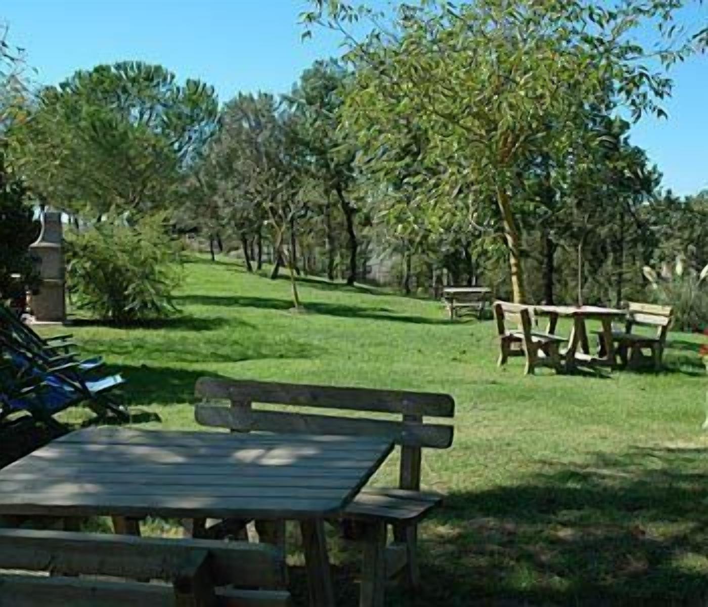 A picnic area with wooden benches and tables, surrounded by trees and grass.