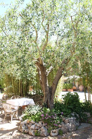 Garden - Hotel Tempio Di Apollo (Rome)