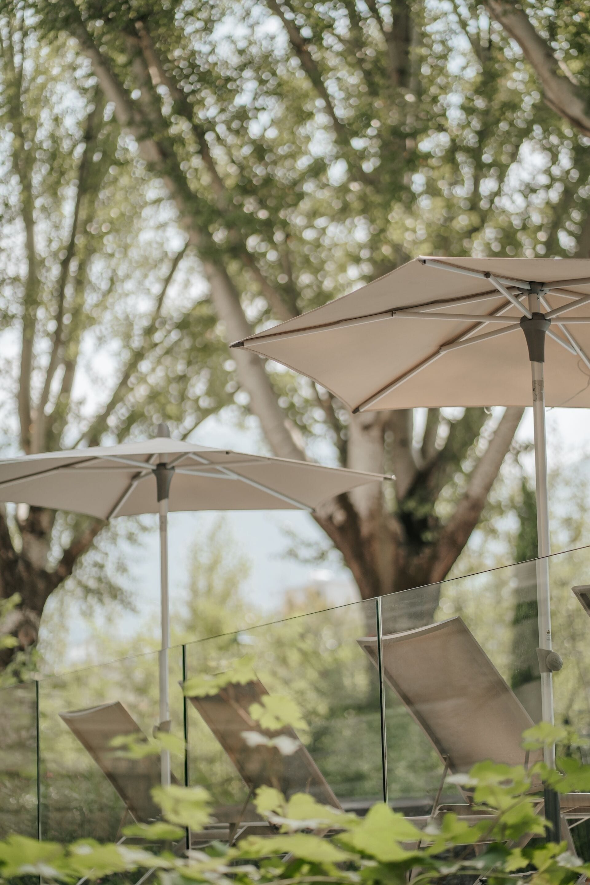 Outdoor umbrellas and chairs, likely for a patio or garden area.