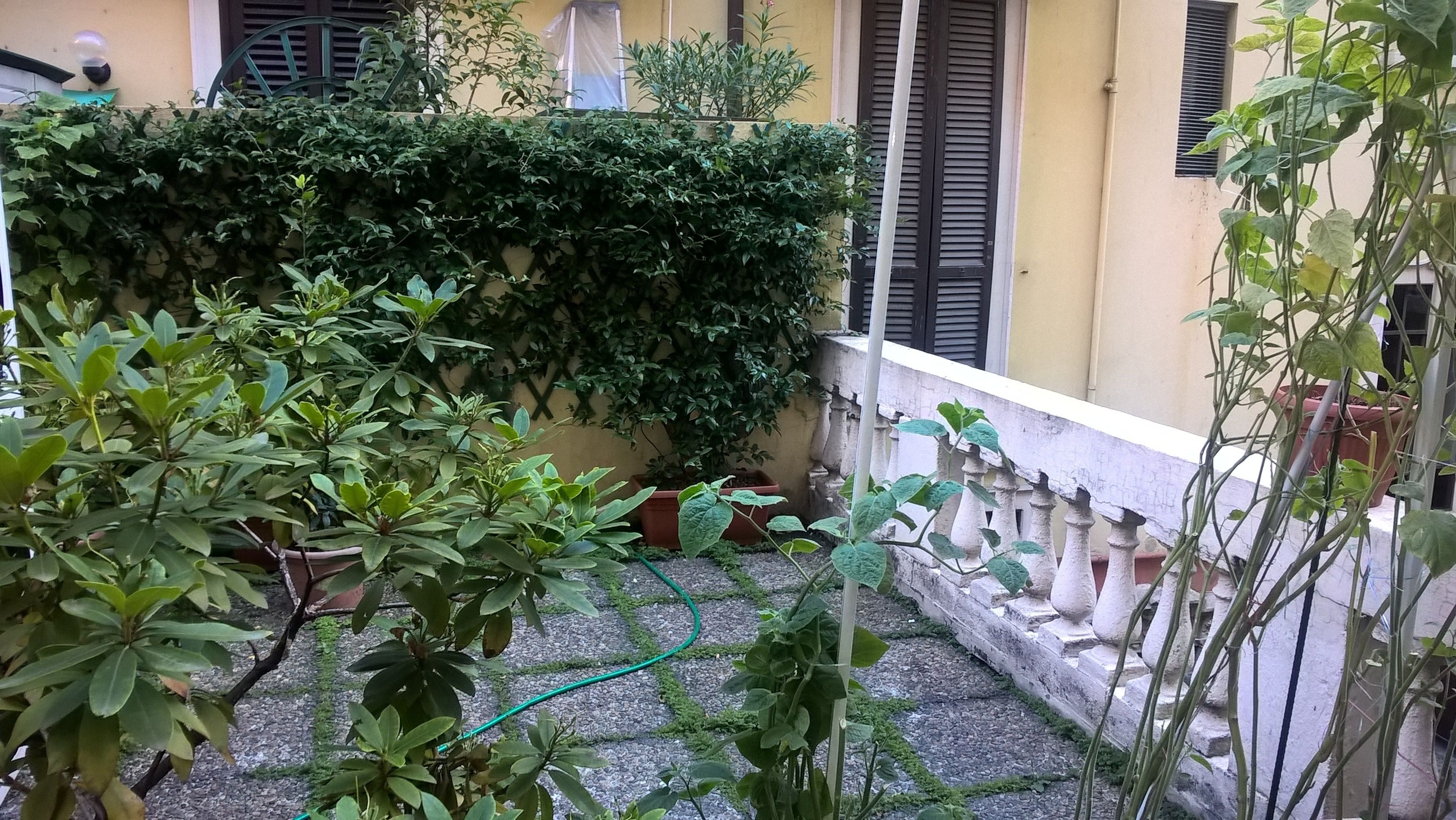 Photo - Hotel Del Sole