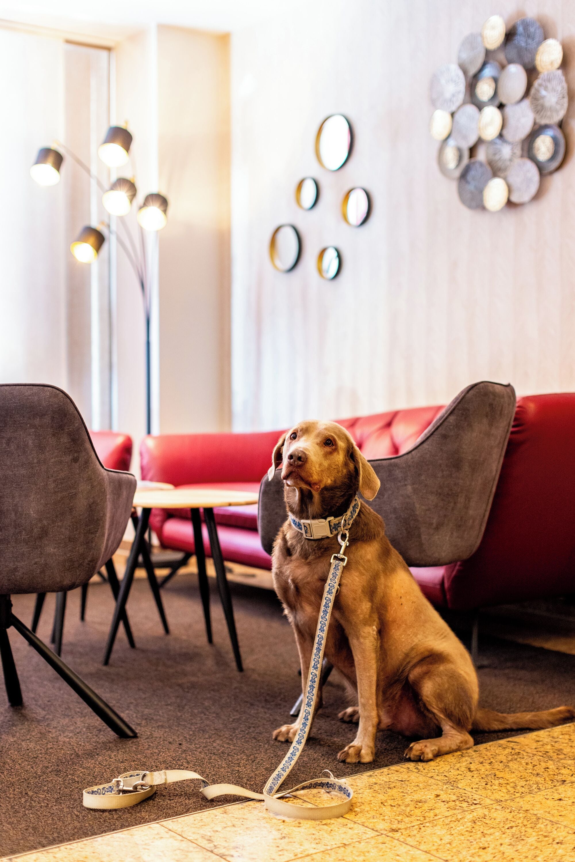 Photo - Maingau Hotel