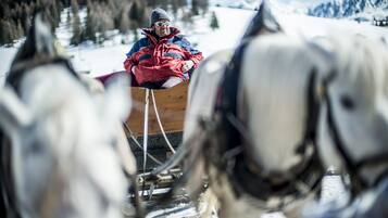Una persona con una chaqueta roja sentada en un trineo de madera, arrastrado por dos caballos blancos.