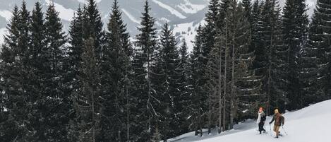 Snow and ski sports