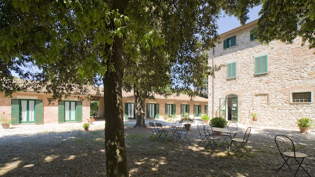 Exterior - Razza del Casalone (Grosseto)