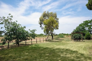 Eine Wiese mit Holzzaun, einer Bank und einer Pergola.