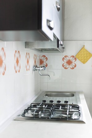 Superior Condo, 1 Bedroom, Kitchenette, Garden View (Podere Umberto D) | Private kitchenette - Agriturismo Quercesecca - Nature & Relax  (Grosseto)