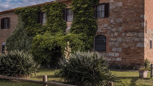 Un edificio histórico de piedra con muros cubiertos de hiedra, ventanas arqueadas y un jardín bien cuidado con diversas plantas.