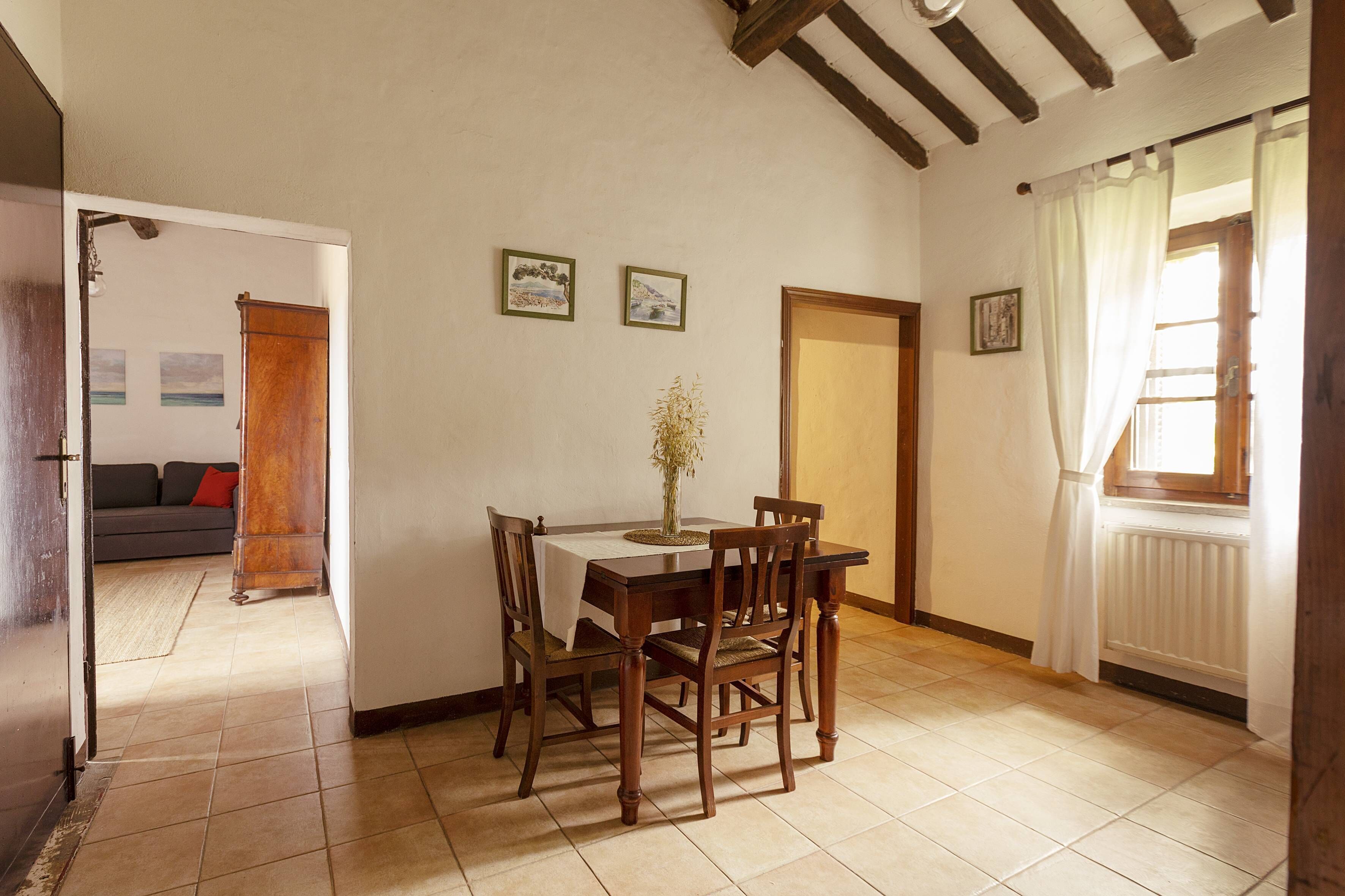 Apartamento clásico, 1 habitación, cocina básica, vistas al jardín (Podere Umberto C) | Vistas desde la habitación