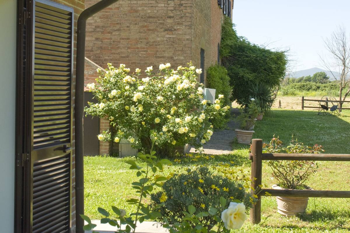 Standard Oda, 1 Büyük (Queen) Boy Yatak (Single H) | Kablosuz İnternet