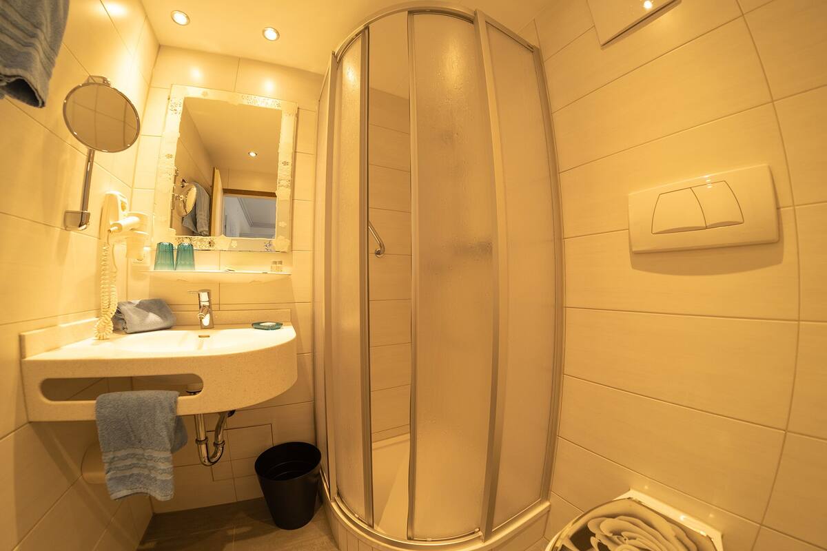 shower, free toiletries, hair dryer, towels