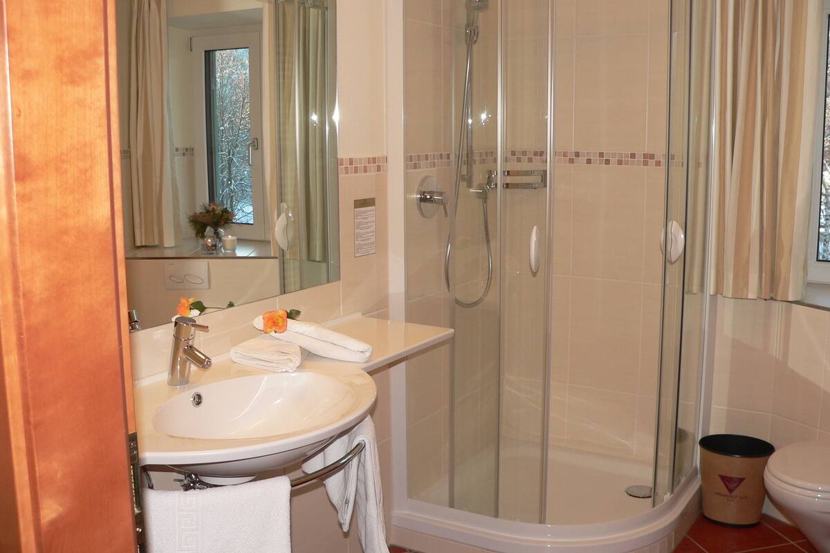 shower, free toiletries, hair dryer, towels