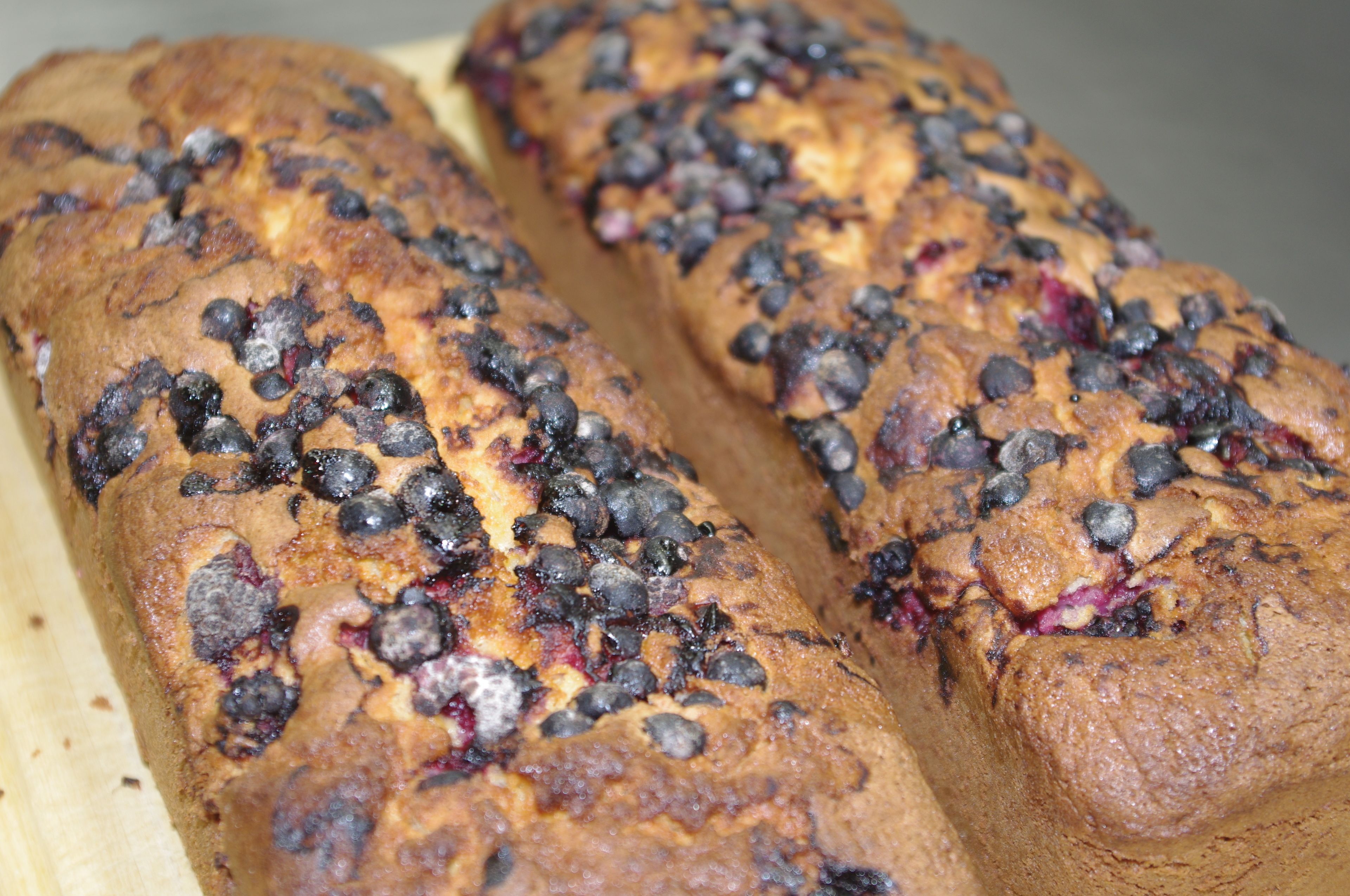 Ein Brot mit Blaubeeren, mit sichtbaren Blaubeeren auf der Oberseite.