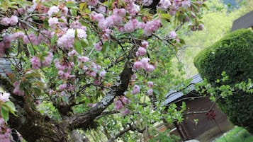 花园景观