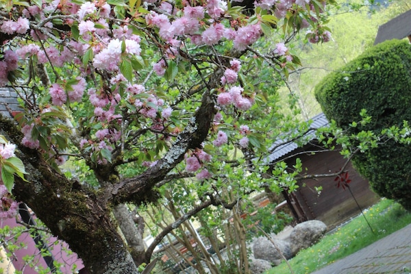 Blick auf den Garten