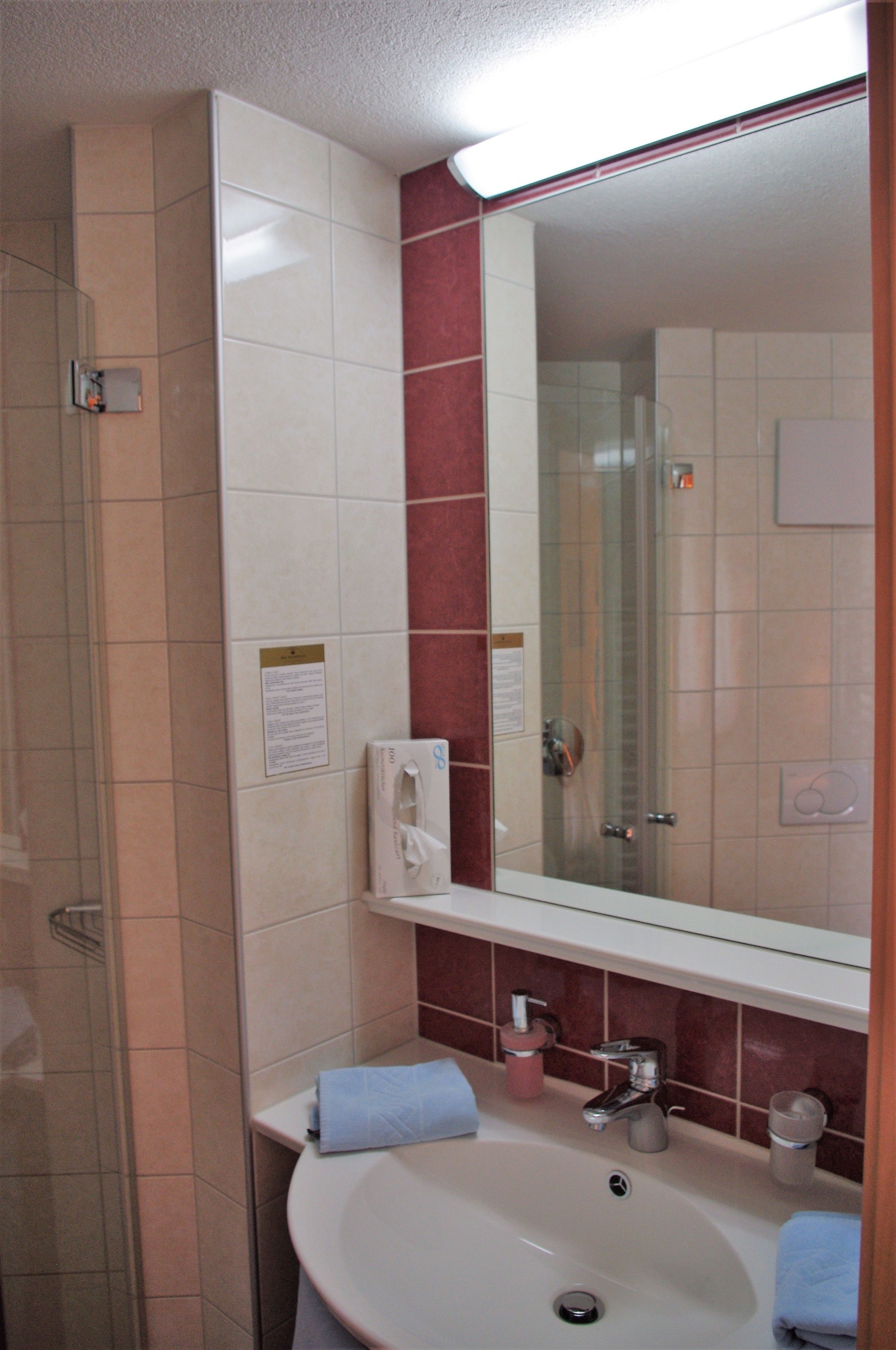 Ein Badezimmer mit Waschbecken, Spiegel, Duschkabine aus Glas und Handtuchhalter.