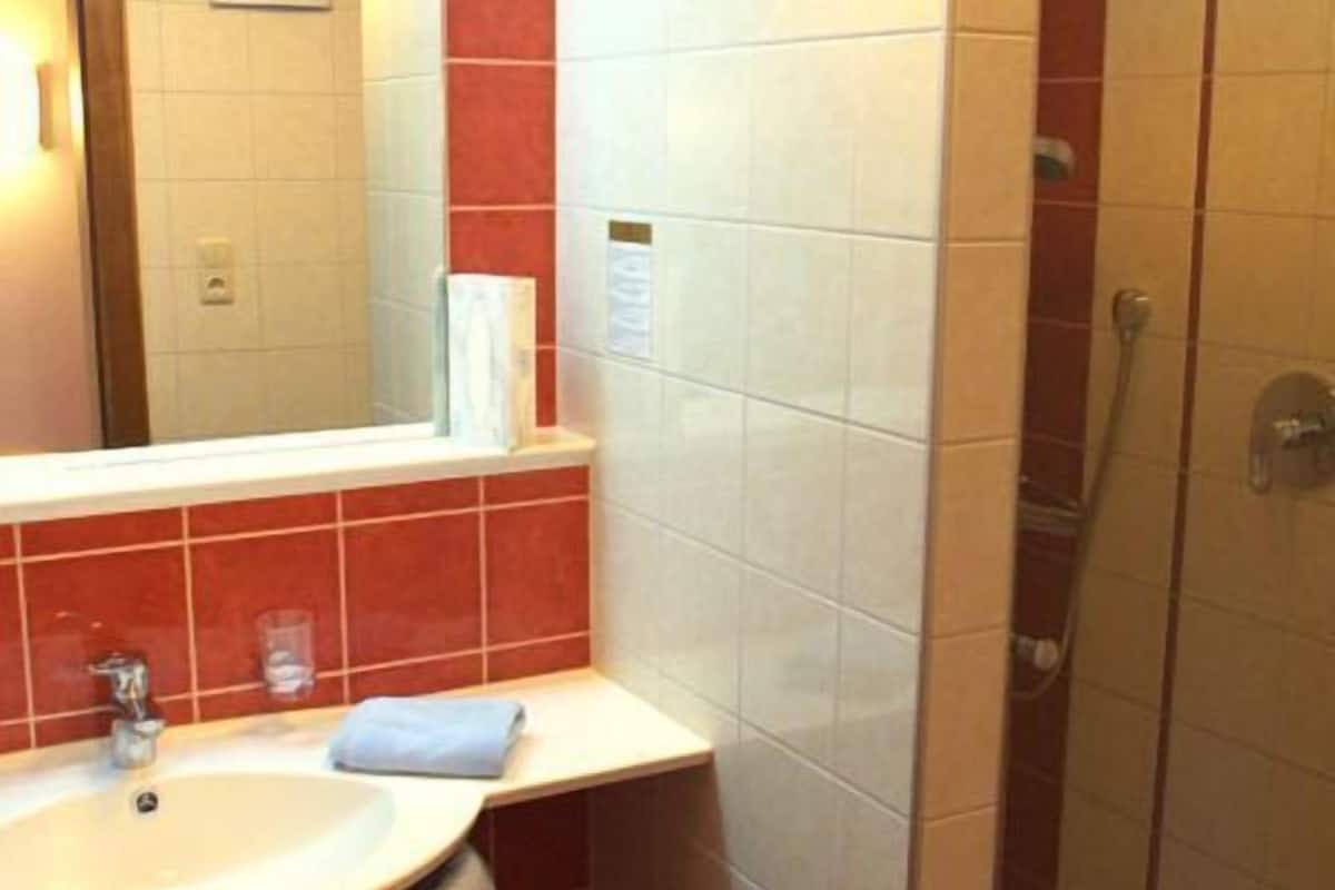 shower, free toiletries, hair dryer, towels