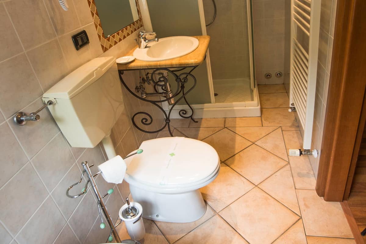 shower, hair dryer, bidet, towels