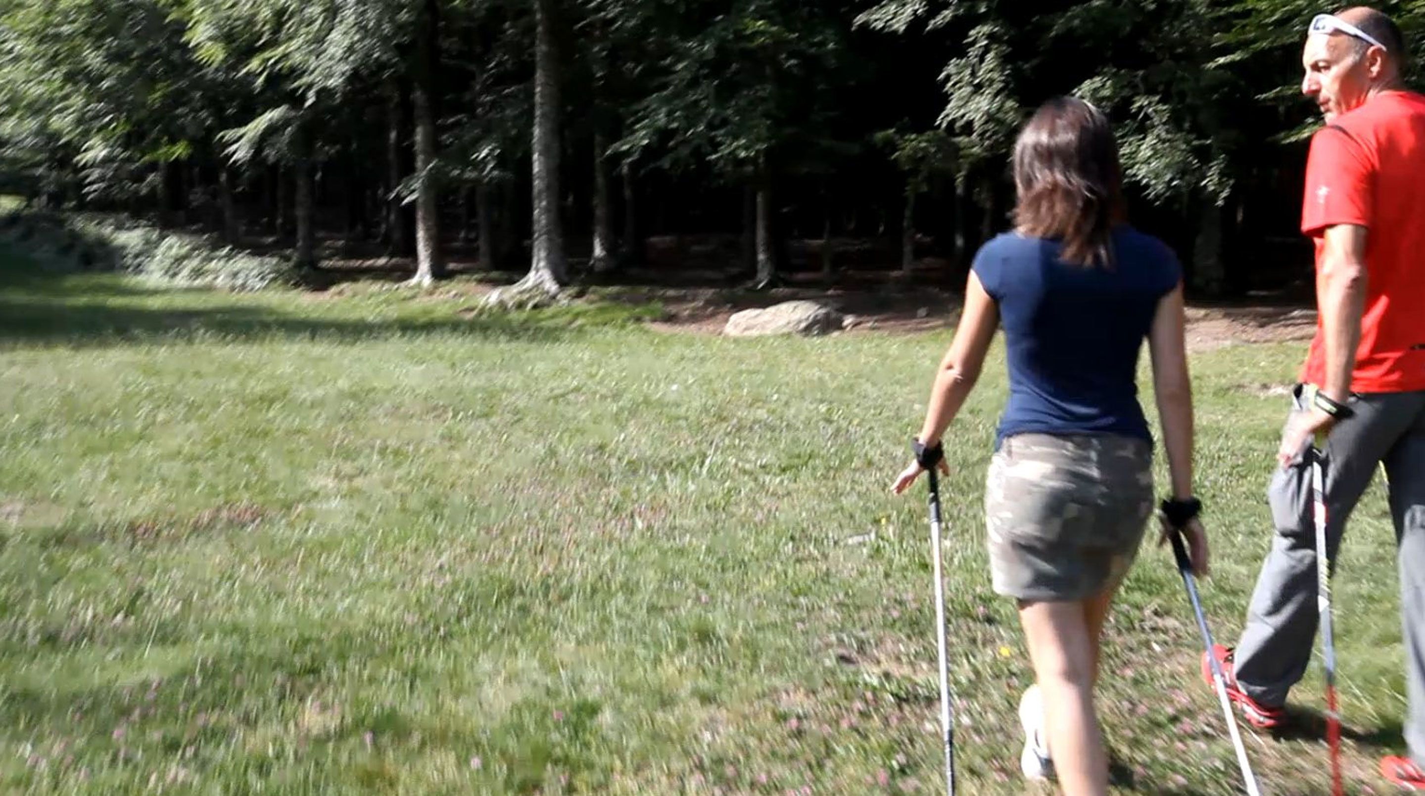 Una persona caminando por un sendero cubierto de césped, con árboles al fondo.