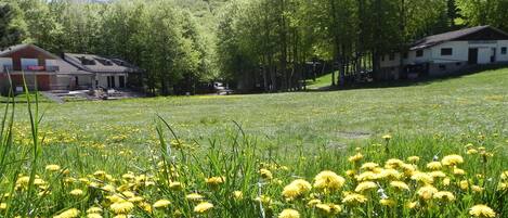 Un hotel con techo rojo y paredes blancas, rodeado por un campo cubierto de dientes de león amarillos y árboles.