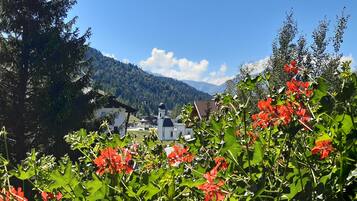 Uitzicht vanuit accommodatie