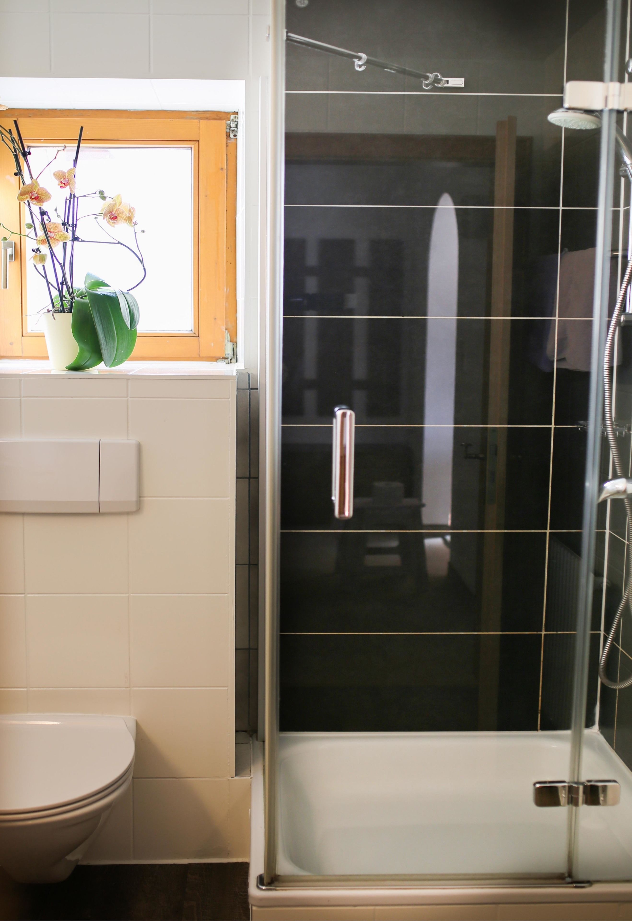 A bathroom with a toilet, a shower enclosure, and a window with a plant.