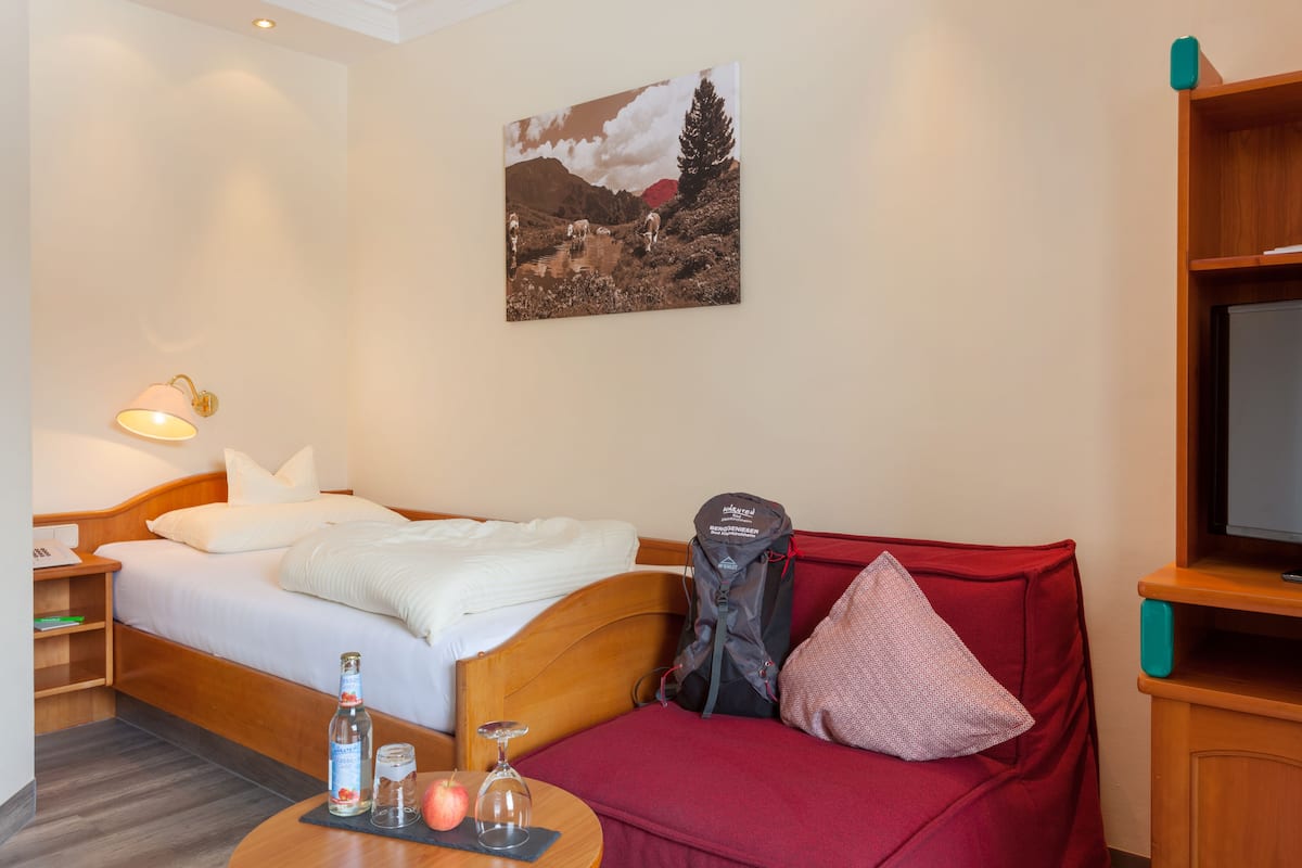 Hypoallergeen beddengoed, een minibar, een kluis op de kamer