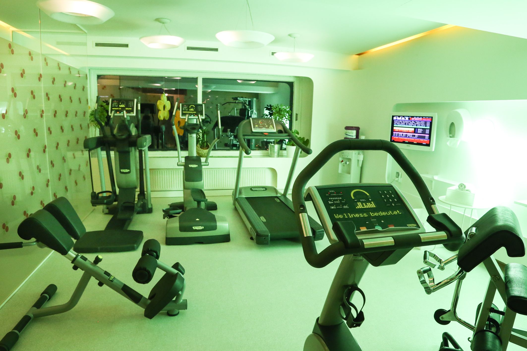 Un gimnasio con cintas de correr, elípticas y máquinas de pesas.