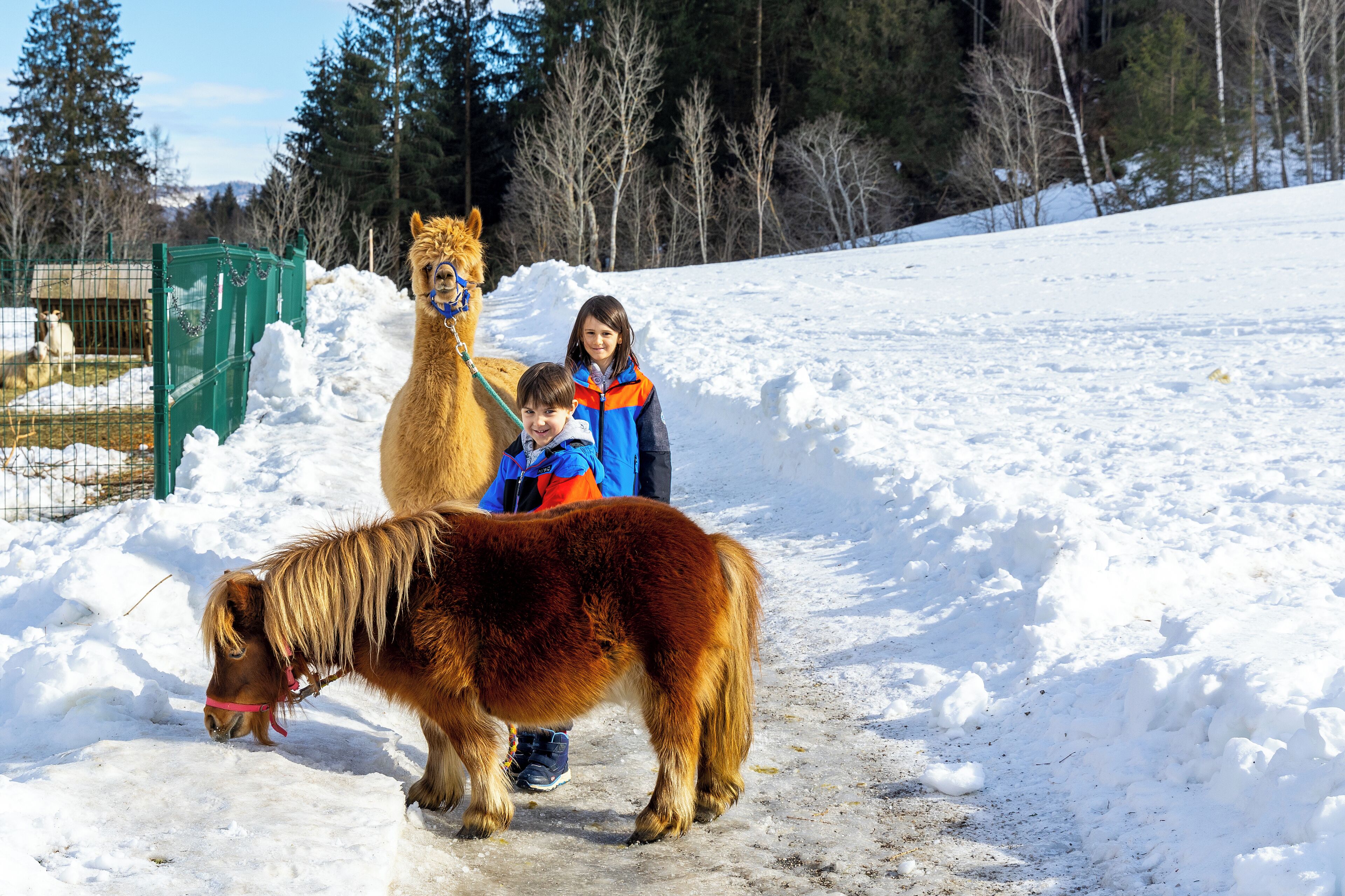 children’s activities