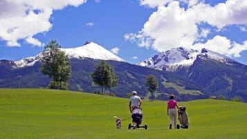 Eine Person geht mit einem Hund über eine Wiese, im Hintergrund sind Berge zu sehen.