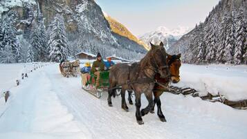 Un trineo tirado por caballos en un camino cubierto de nieve, con montañas al fondo.