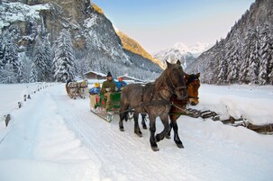 Un trineo tirado por caballos en un camino cubierto de nieve, con montañas al fondo.