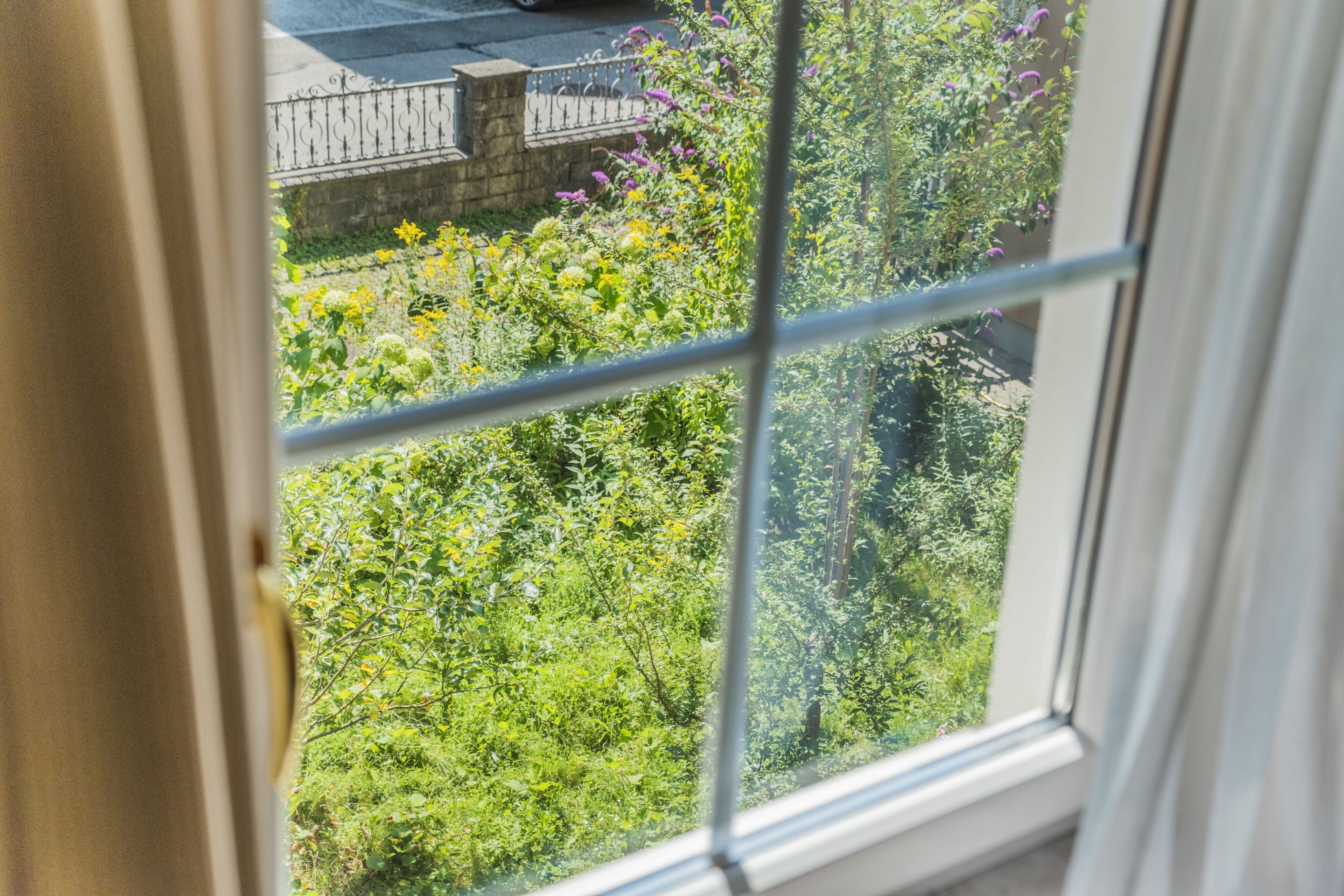 A window with a view of a garden with various plants and flowers.
