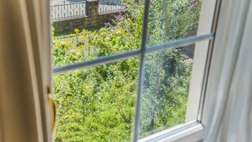 A window with a view of a garden with various plants and flowers.