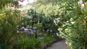 A garden pathway surrounded by various plants and flowers. - Resort La Francesca (Bonassola)