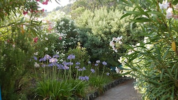 花園
