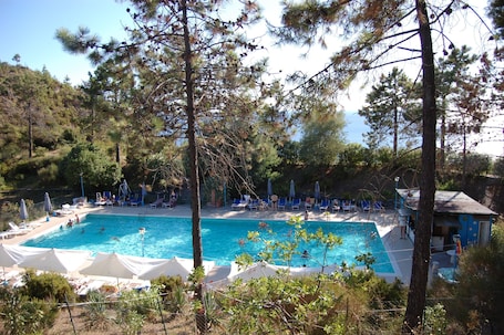 Outdoor pool, pool umbrellas, sun loungers