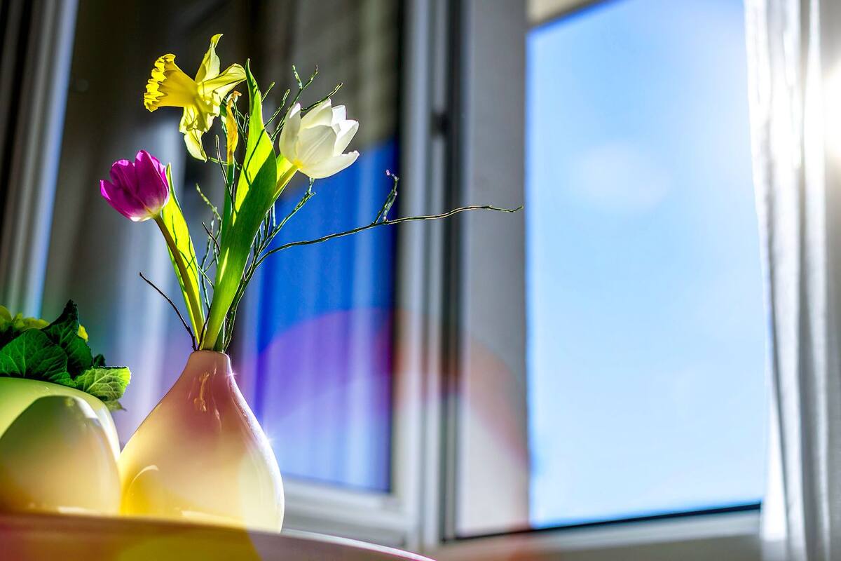 A vase with flowers on a windowsill.