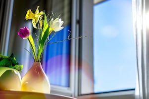 1 dormitorio, ropa de cama hipoalergénica, caja fuerte y escritorio