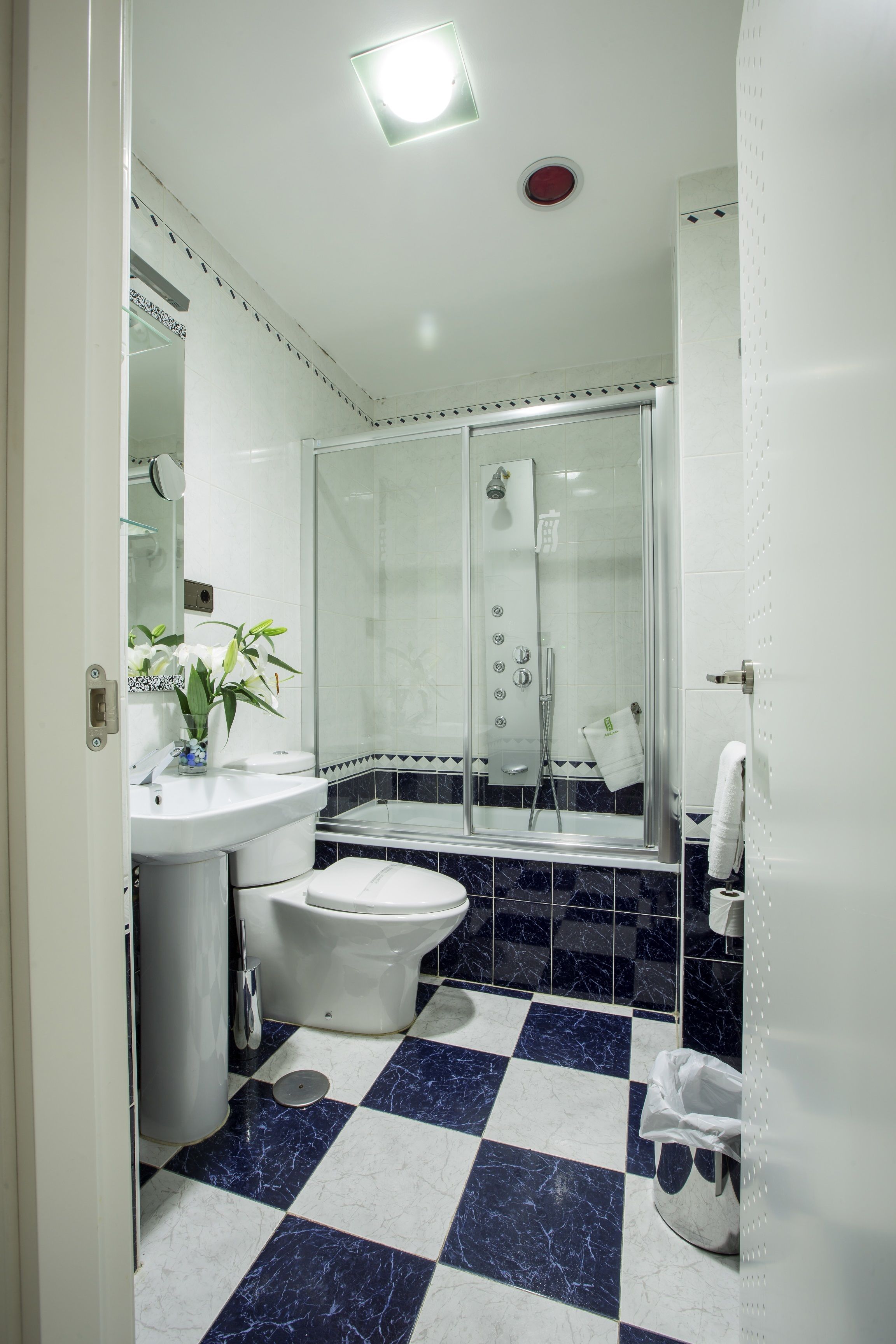 hydromassage showerhead, free toiletries, hair dryer, towels