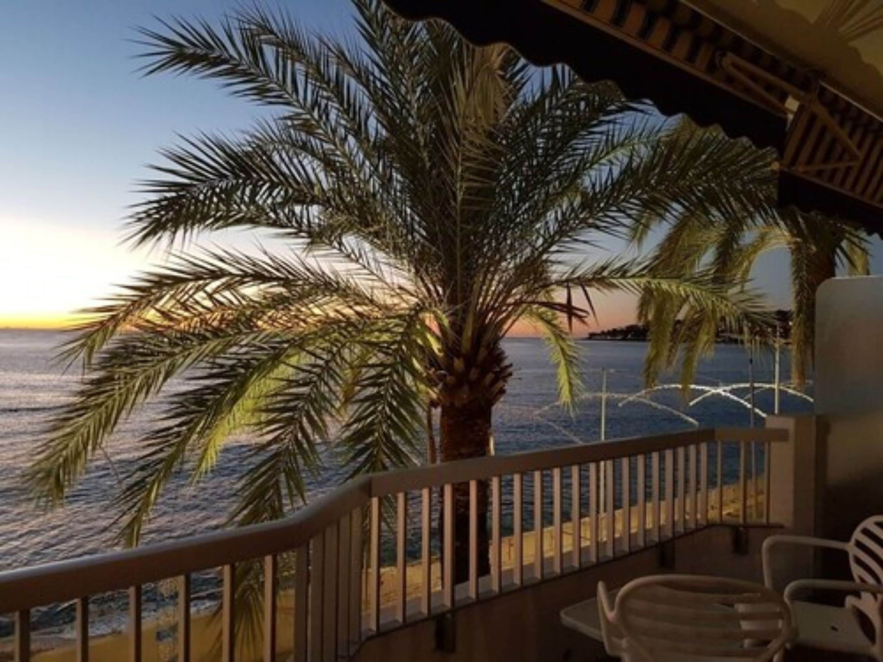 Foto - Hôtel Le Dauphin