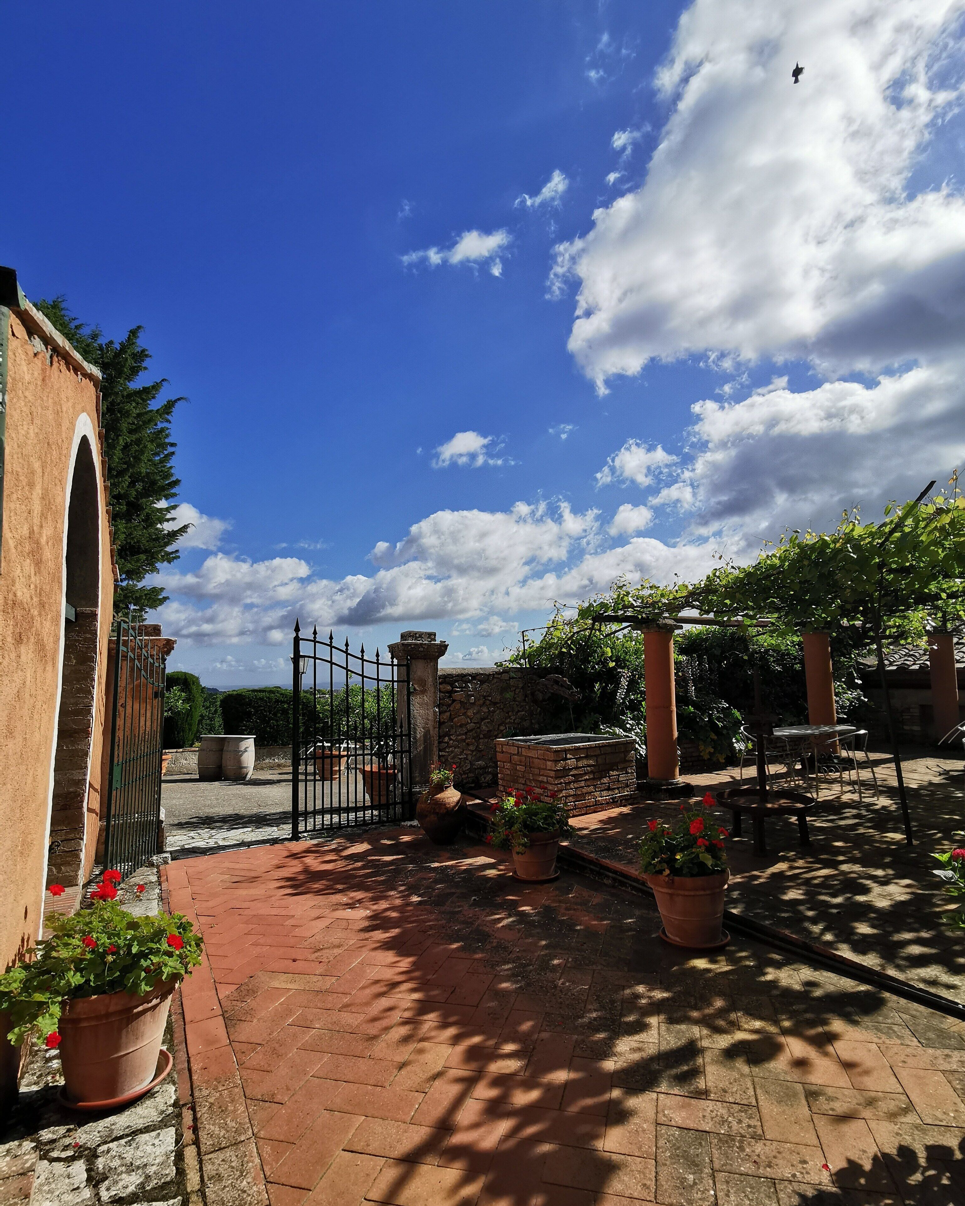Un patio con un sendero de ladrillo, plantas en macetas, una reja y un cielo azul despejado.