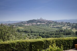 Vista panorámica de una ciudad con un cerro destacado, edificios históricos y una exuberante zona verde.