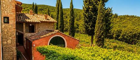 A vineyard with a stone staircase leading to a building with a red roof.