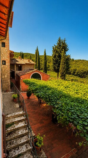 A vineyard with a stone staircase leading to a building with a red roof. - Hotel Pescille by Double Hospitality (San Gimignano)