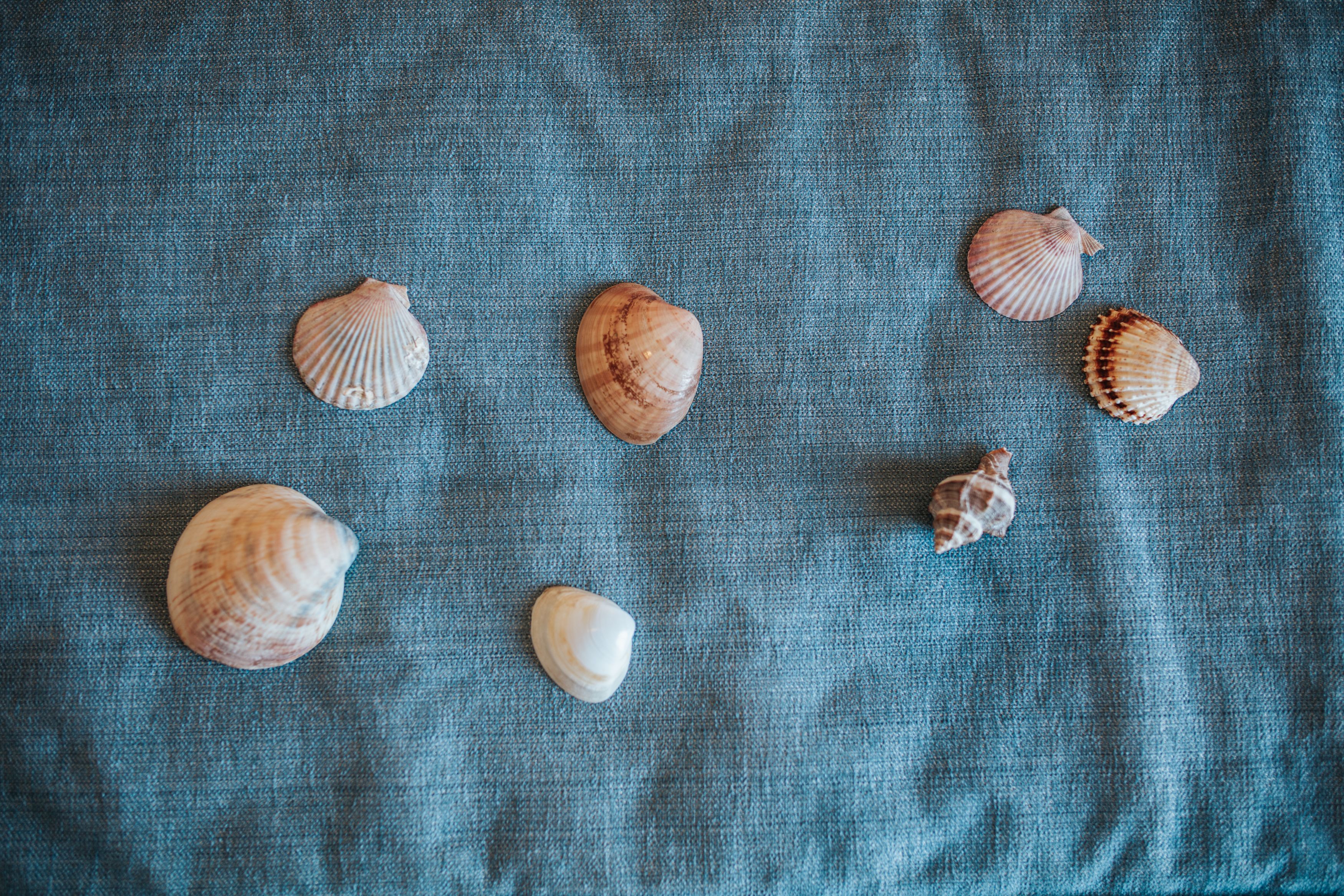 Foto - Hotel Argentina