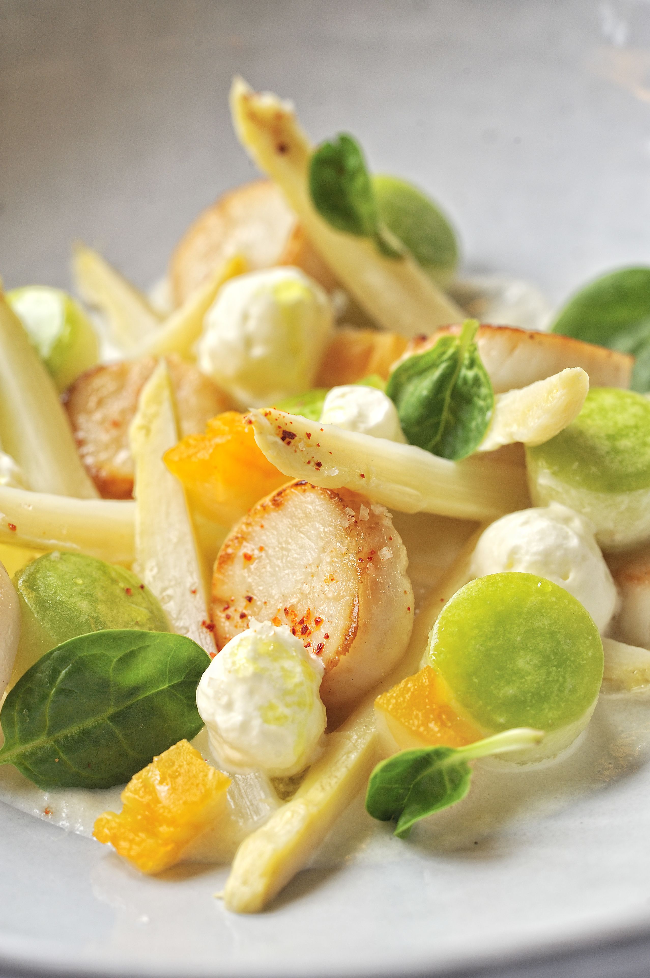 A plate of food with scallops, green leaves, and orange segments.