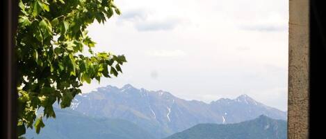 Vista de un lago con montañas al fondo, un árbol en primer plano y edificios en la orilla opuesta.